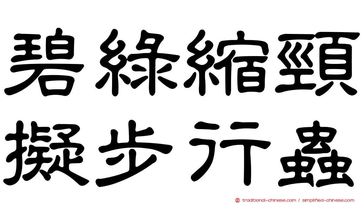 碧綠縮頸擬步行蟲