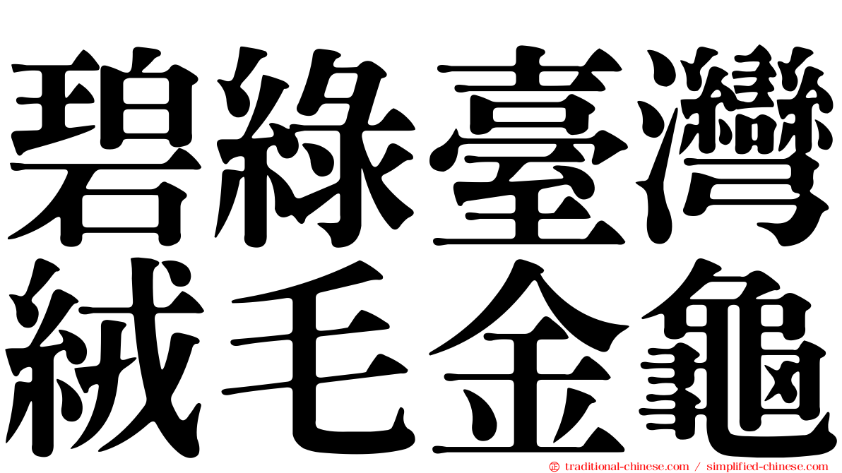 碧綠臺灣絨毛金龜