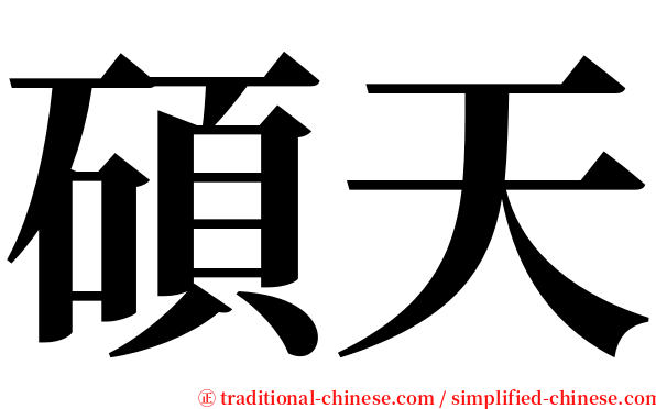 碩天 serif font