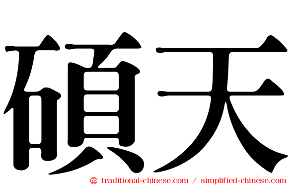 碩天