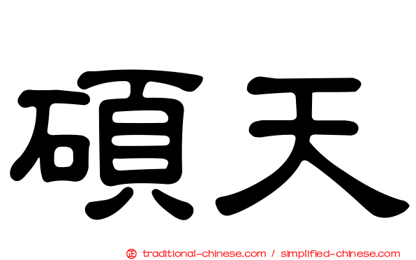 碩天
