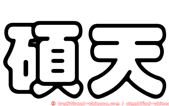 碩天