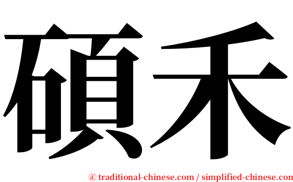 碩禾 serif font