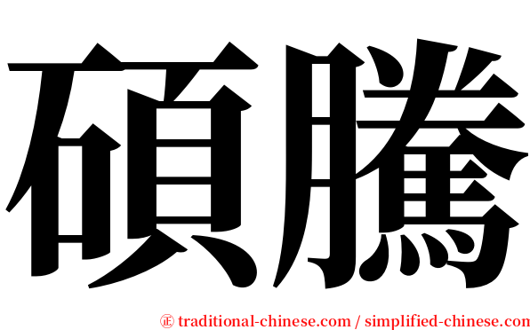 碩騰 serif font