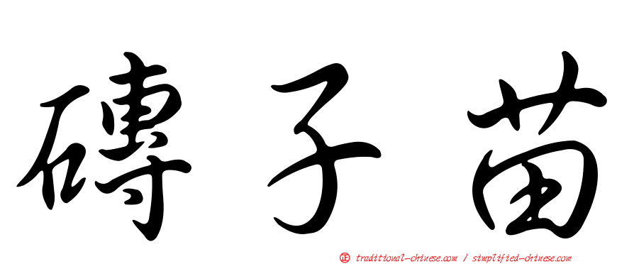 磚子苗