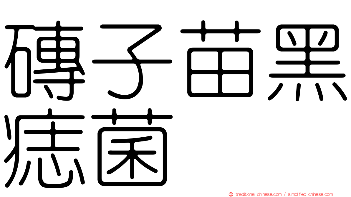 磚子苗黑痣菌