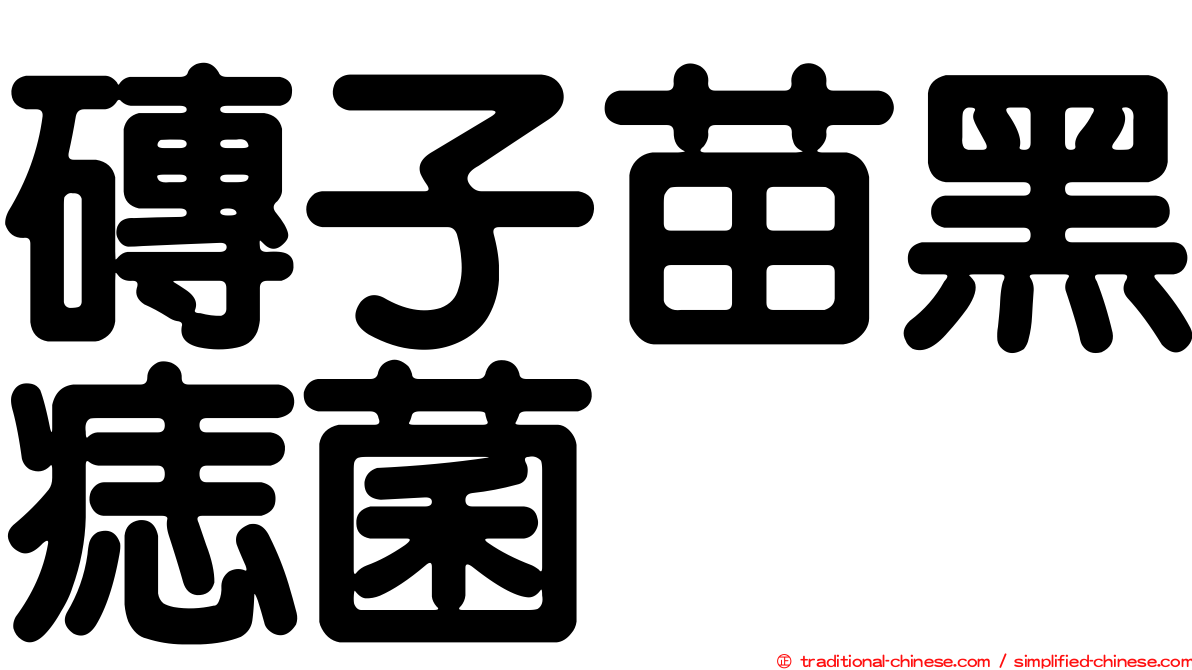 磚子苗黑痣菌