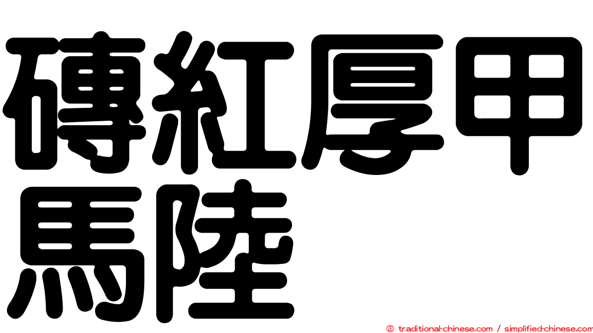 磚紅厚甲馬陸