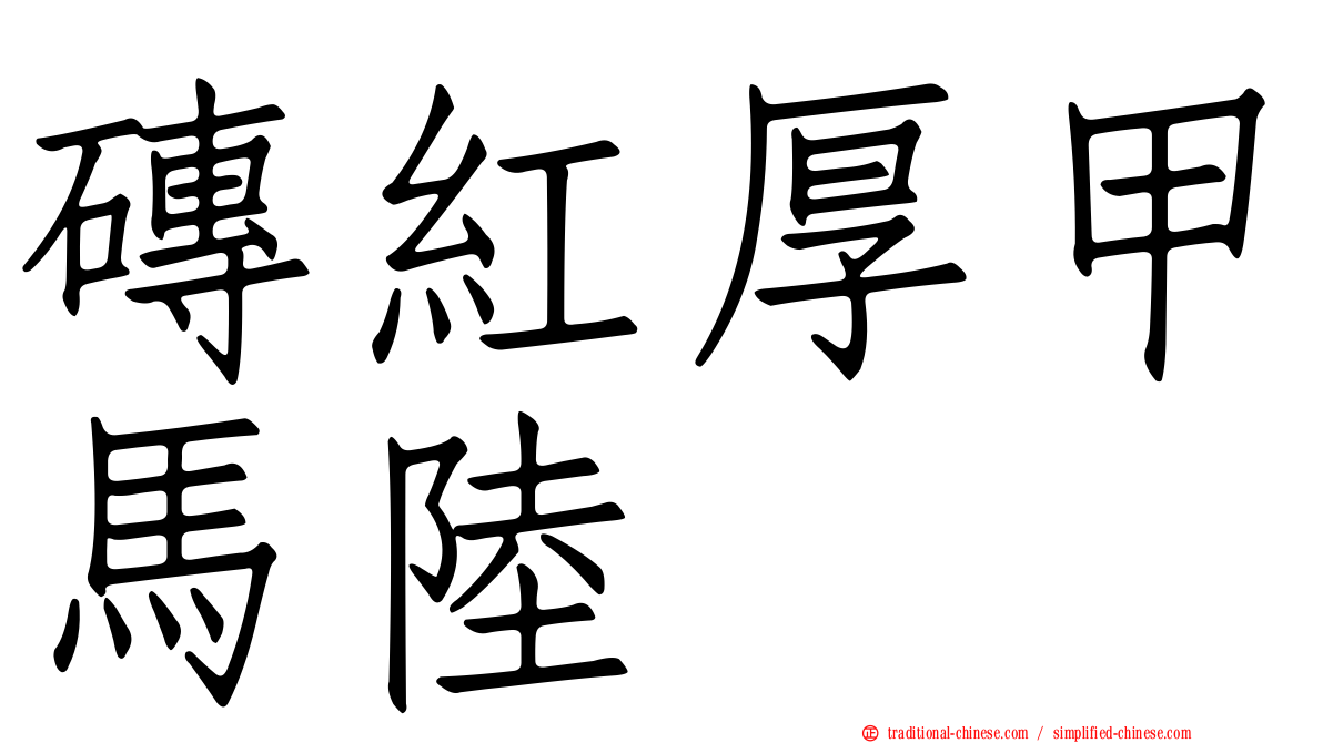 磚紅厚甲馬陸