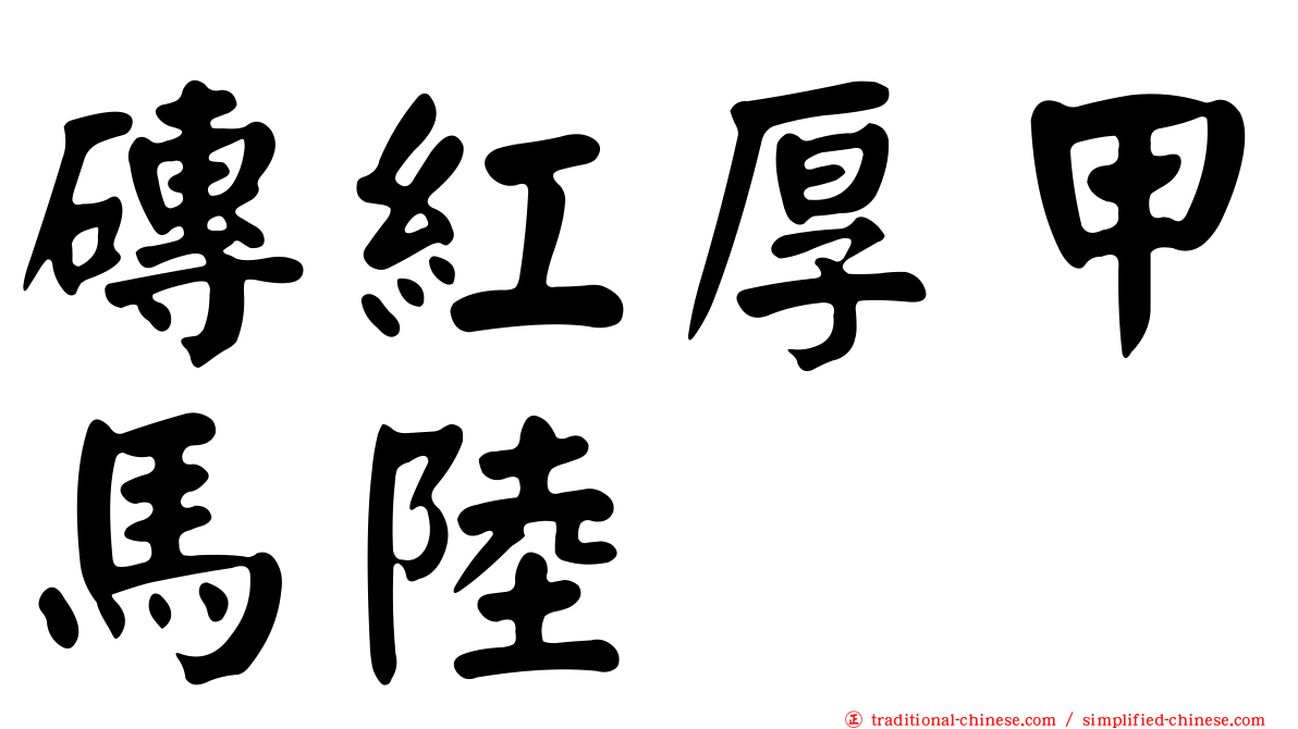 磚紅厚甲馬陸