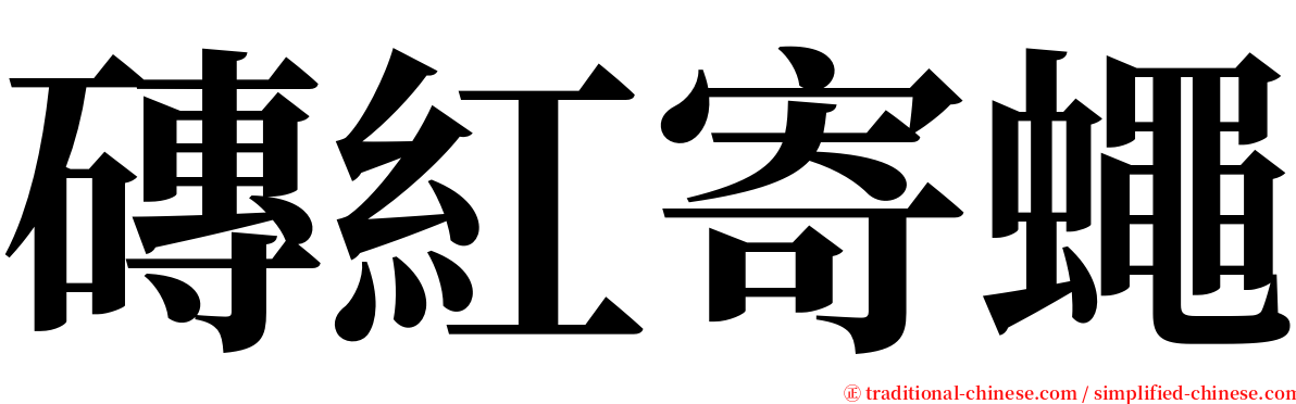 磚紅寄蠅 serif font