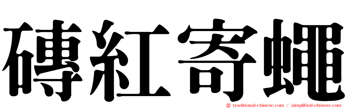 磚紅寄蠅