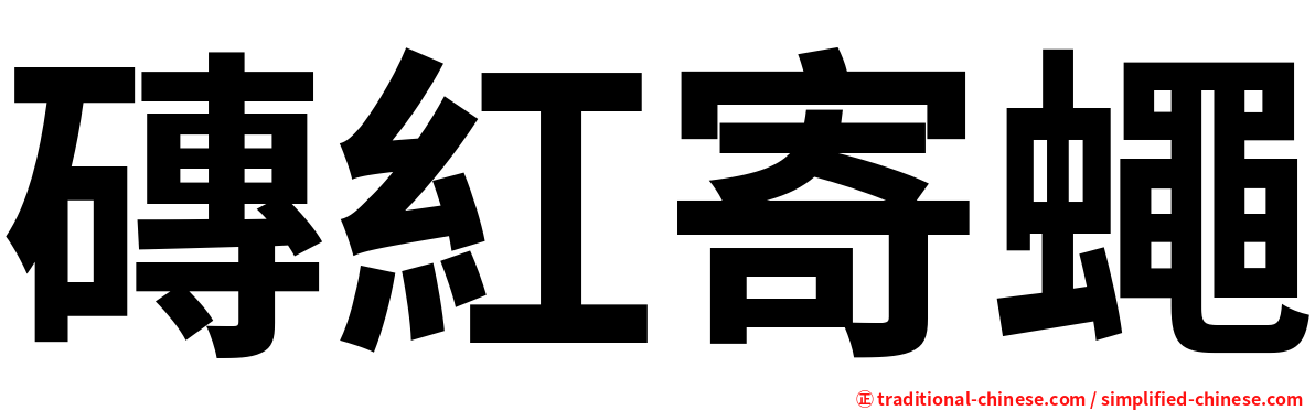 磚紅寄蠅