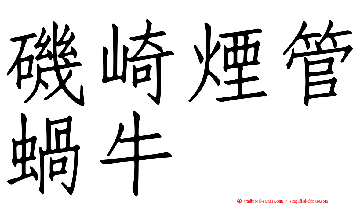磯崎煙管蝸牛