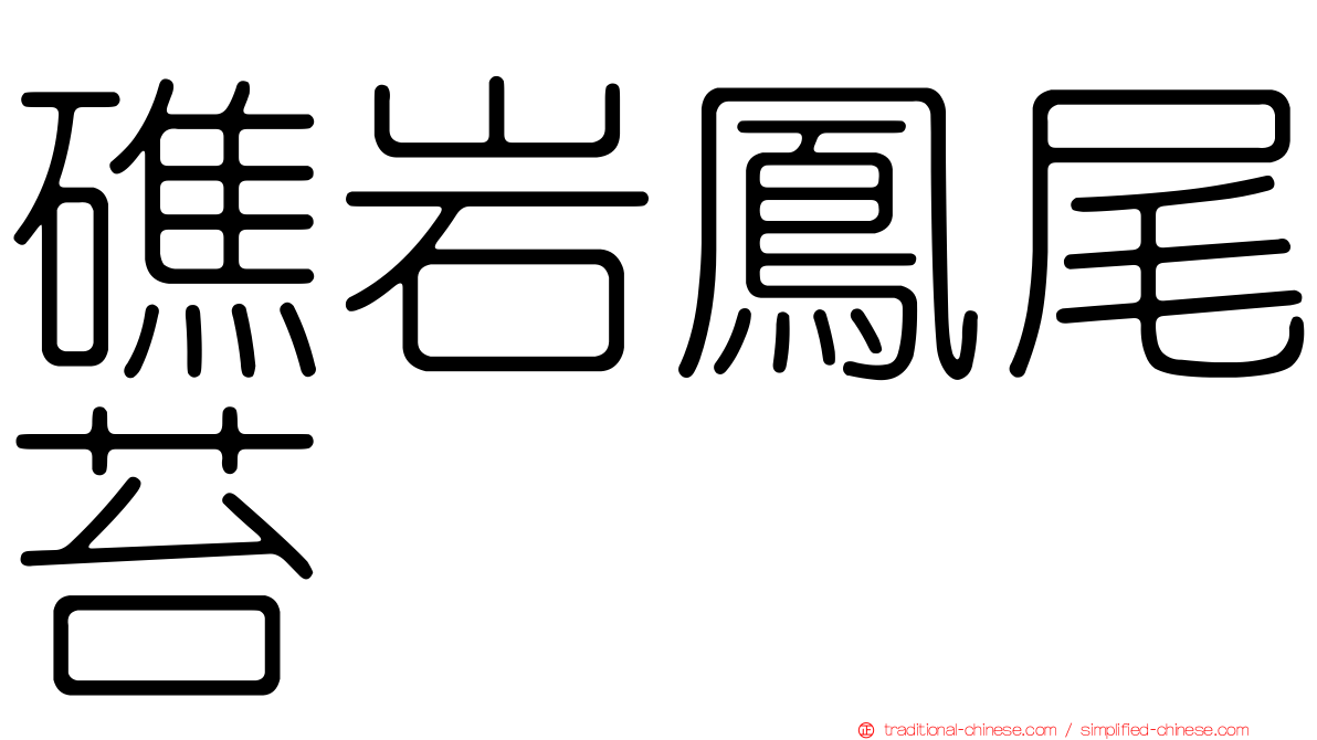 礁岩鳳尾苔