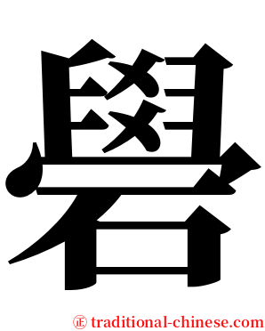 礐 serif font