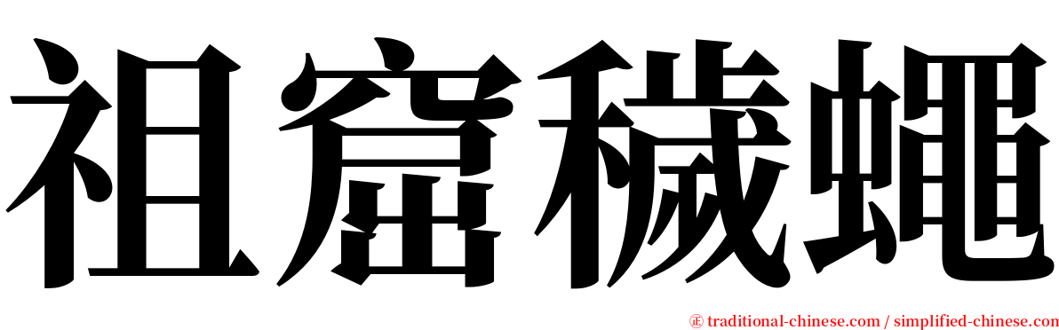 祖窟穢蠅 serif font