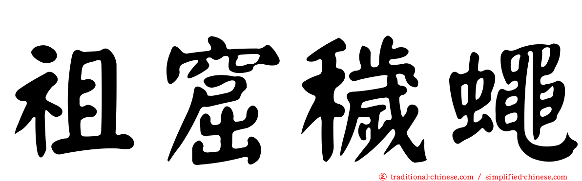 祖窟穢蠅
