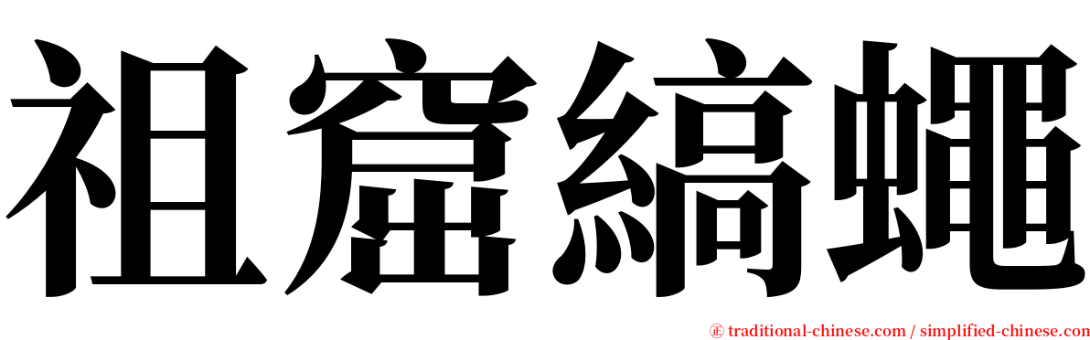 祖窟縞蠅 serif font