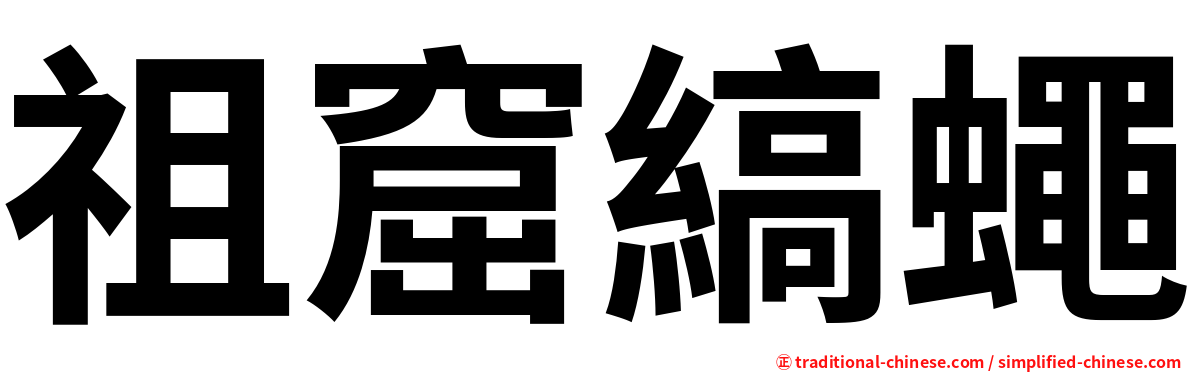 祖窟縞蠅