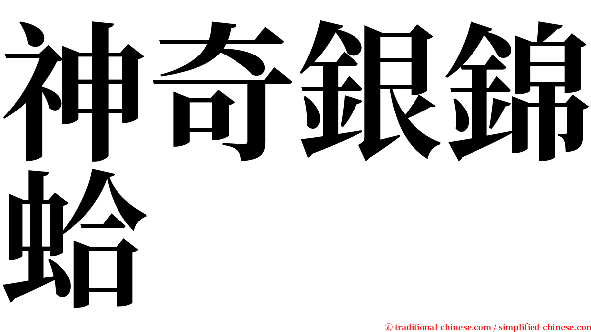 神奇銀錦蛤 serif font
