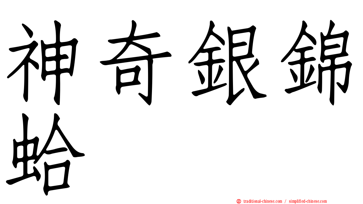 神奇銀錦蛤