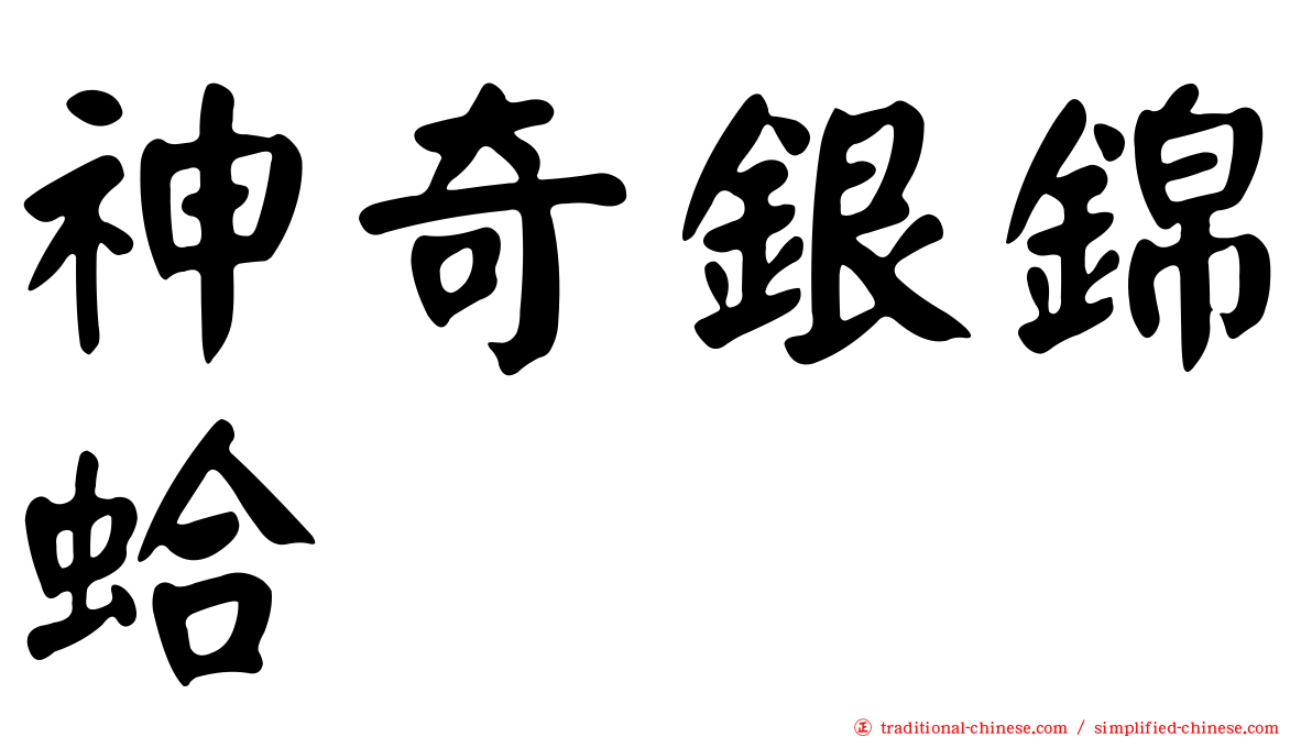 神奇銀錦蛤