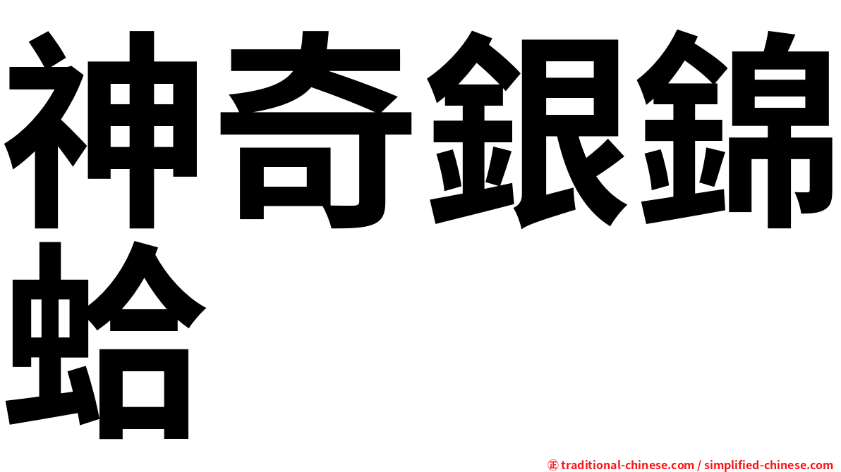 神奇銀錦蛤
