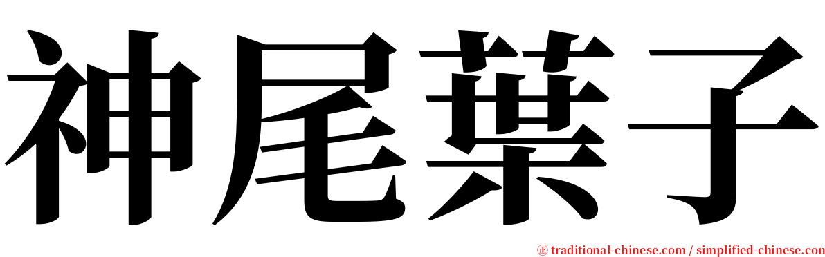 神尾葉子 serif font