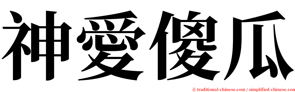 神愛傻瓜 serif font