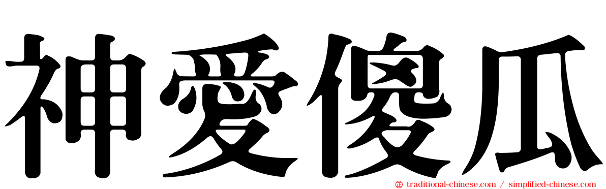 神愛傻瓜
