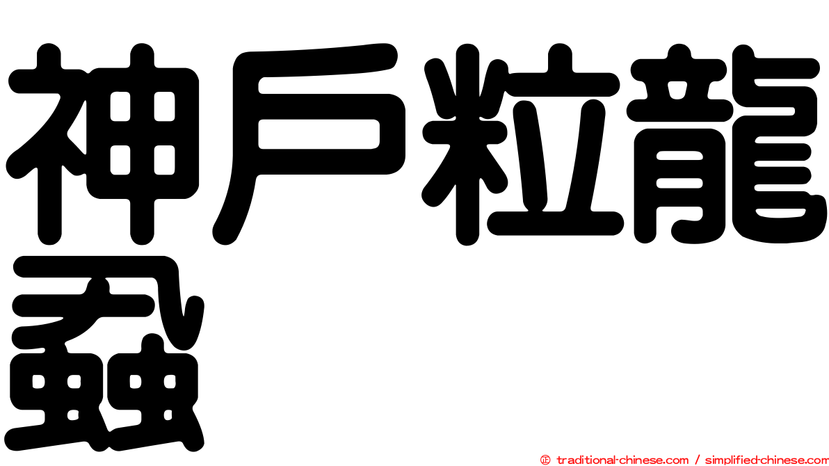 神戶粒龍蝨