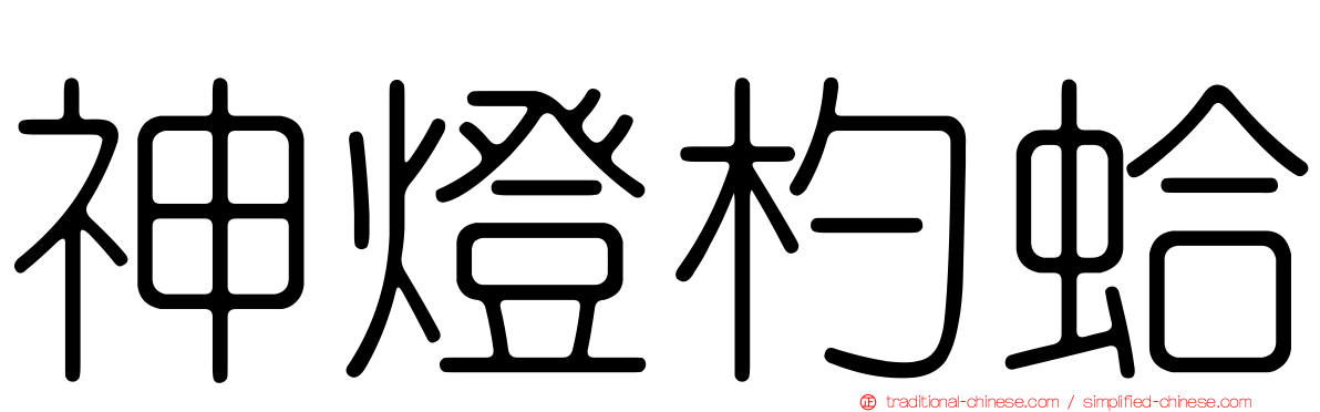 神燈杓蛤