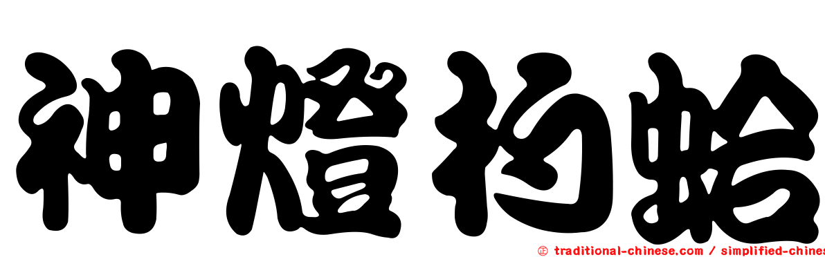 神燈杓蛤