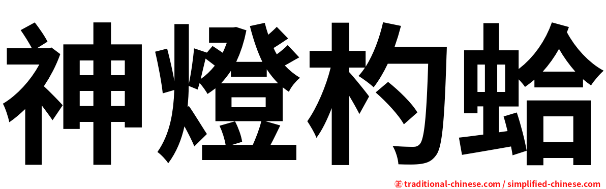 神燈杓蛤