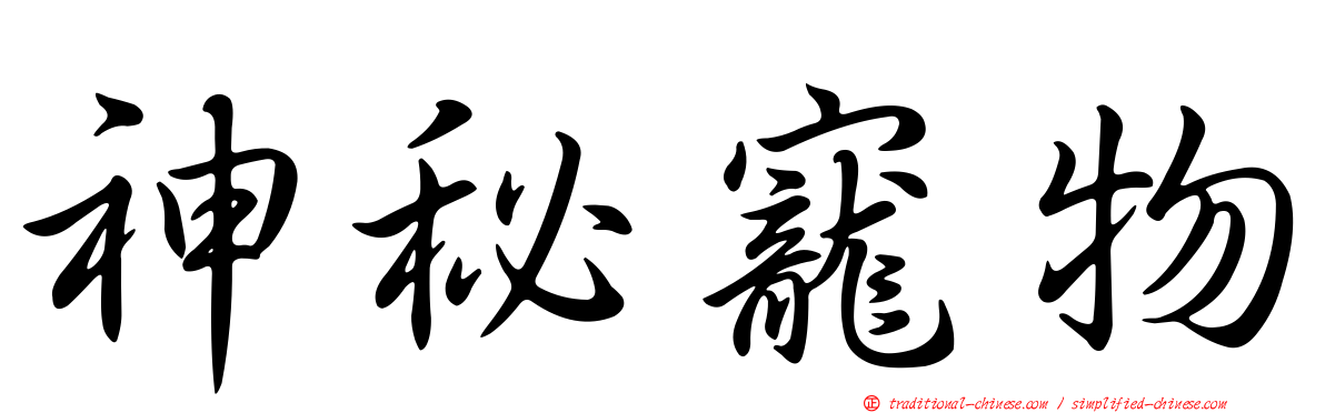 神秘寵物