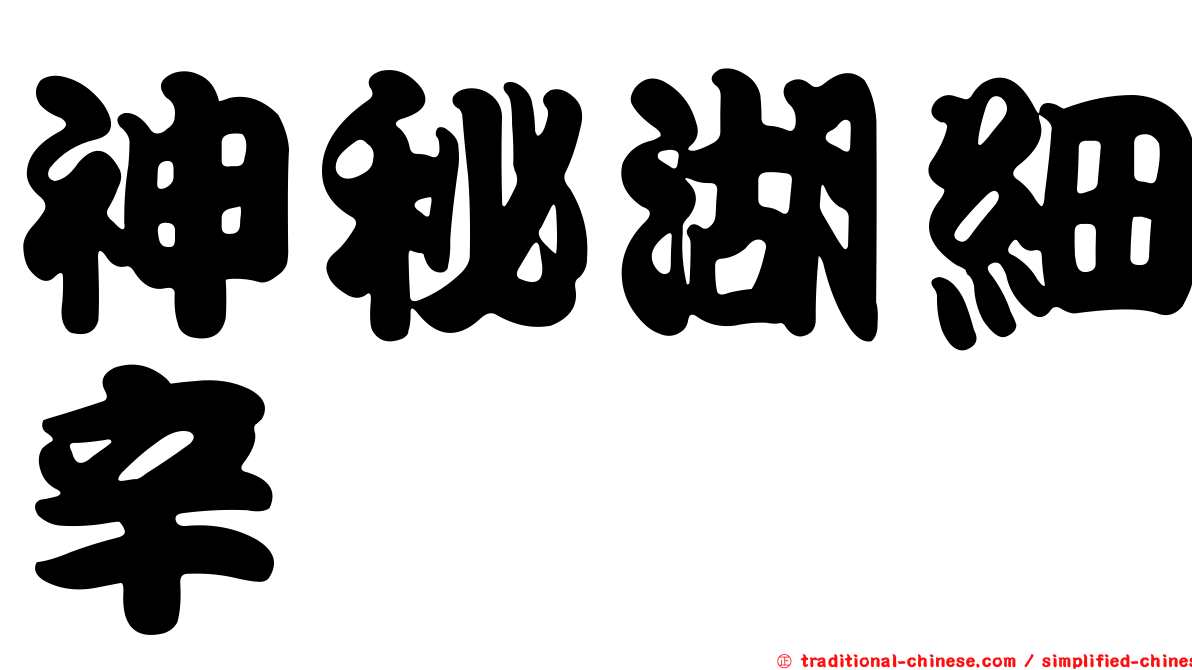 神秘湖細辛