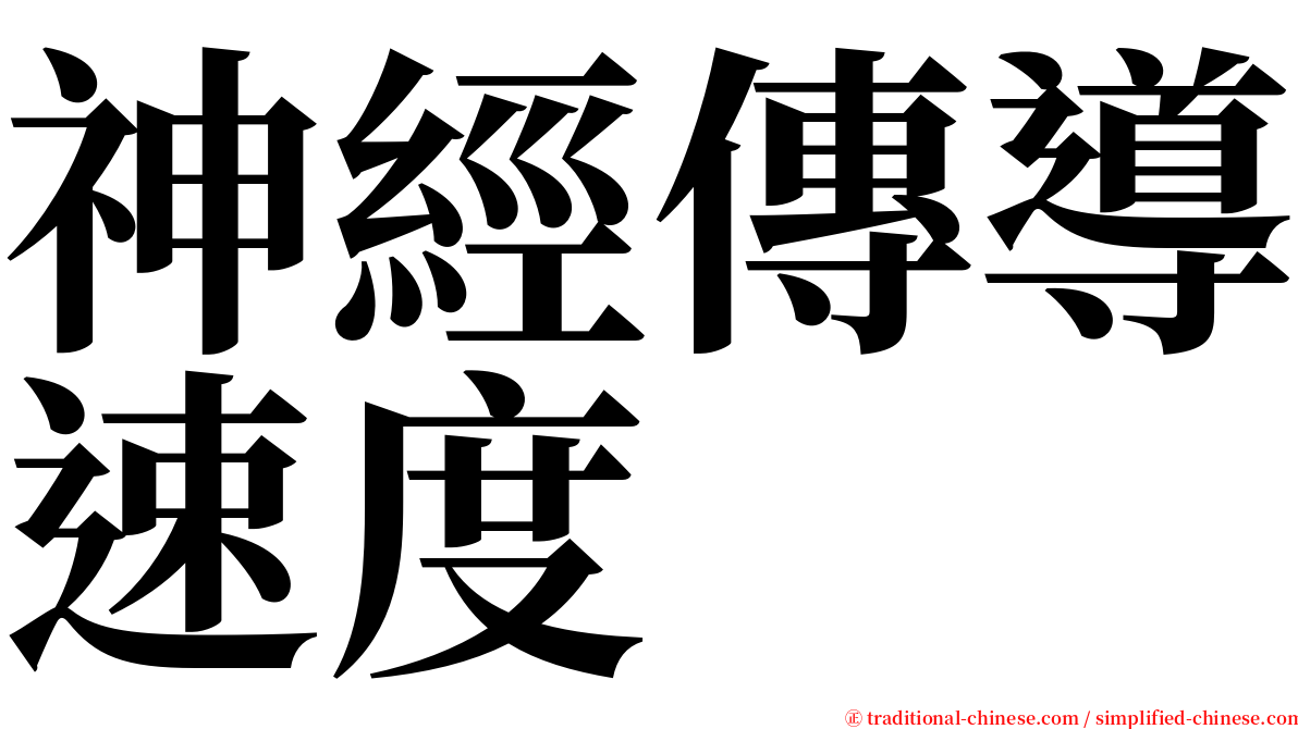 神經傳導速度 serif font