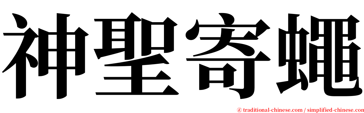 神聖寄蠅 serif font