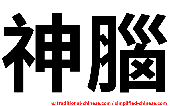 神腦