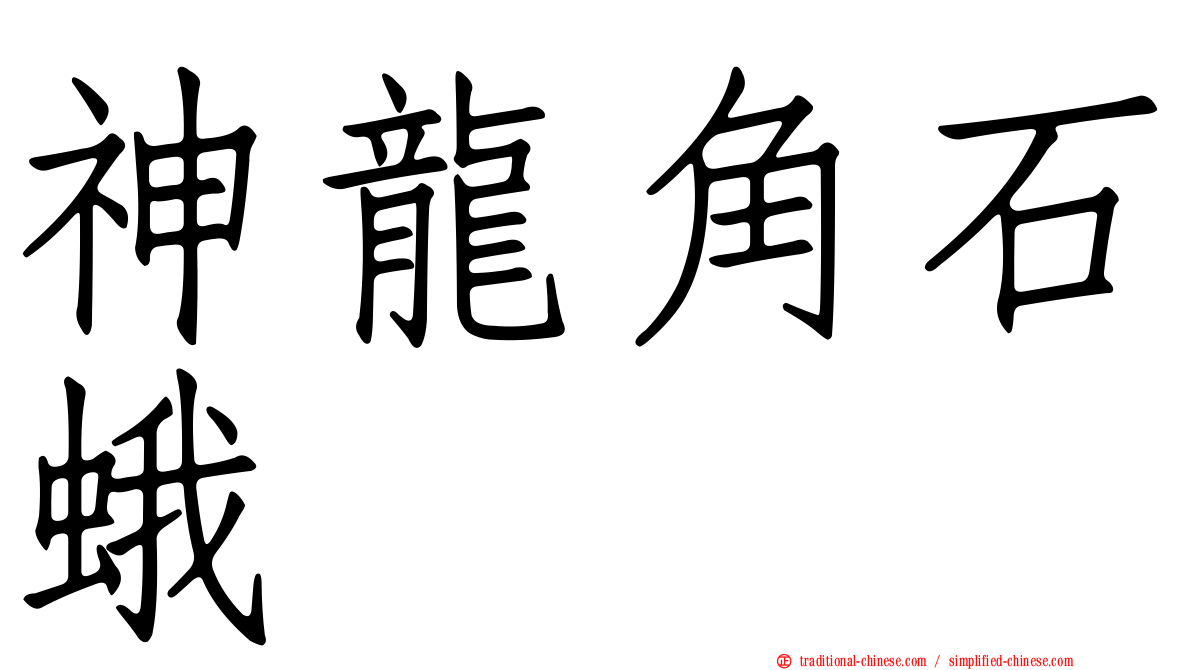 神龍角石蛾