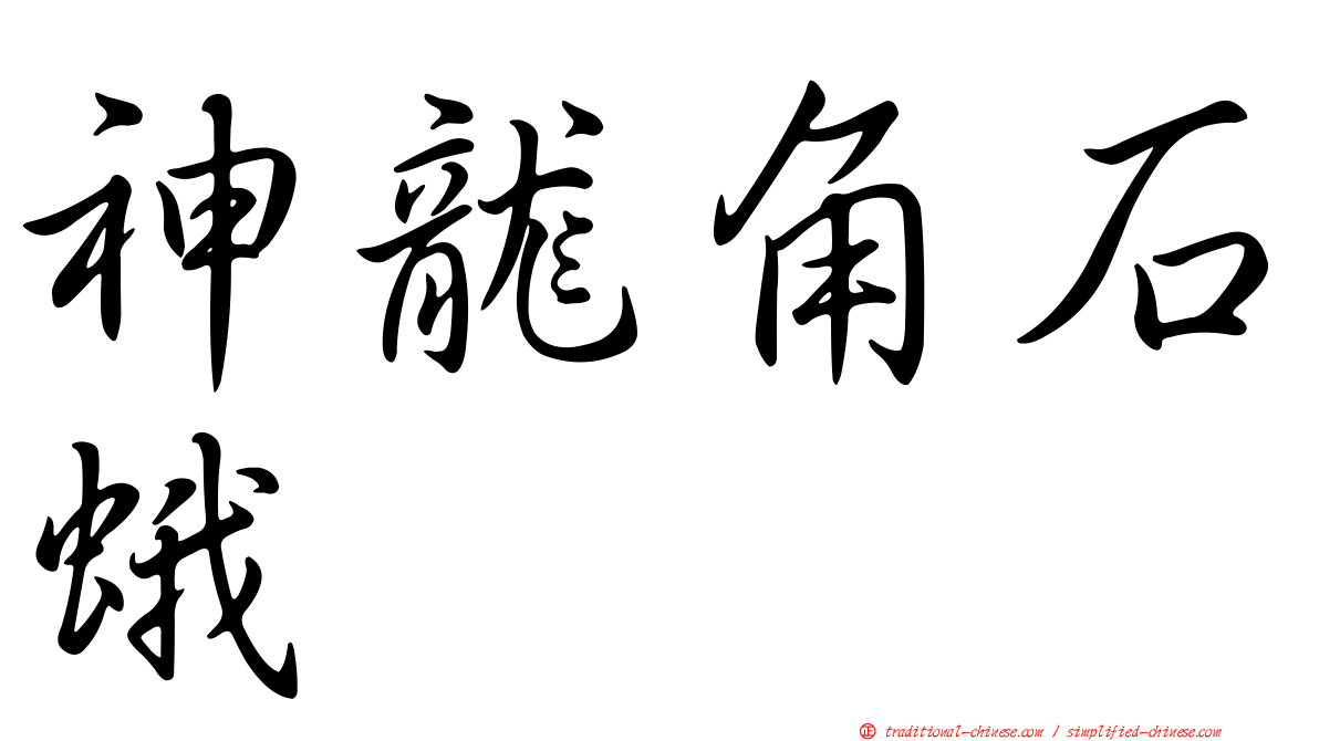 神龍角石蛾