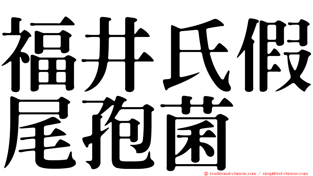 福井氏假尾孢菌