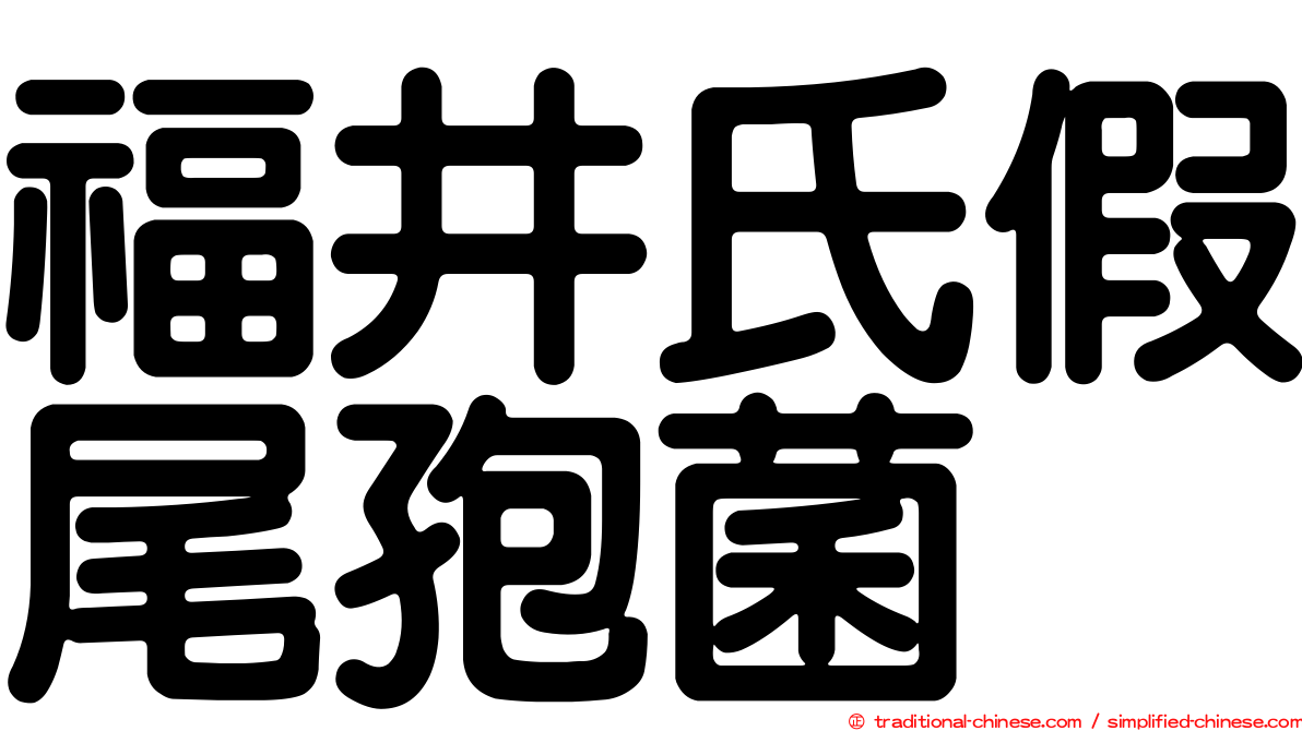 福井氏假尾孢菌