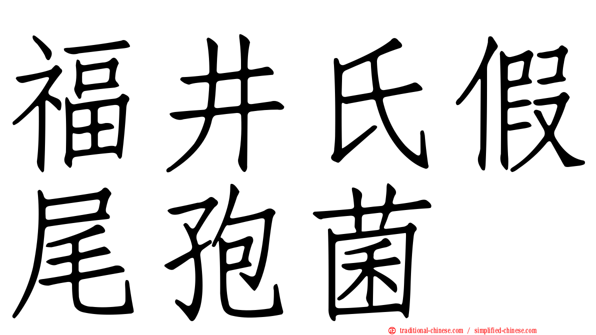 福井氏假尾孢菌