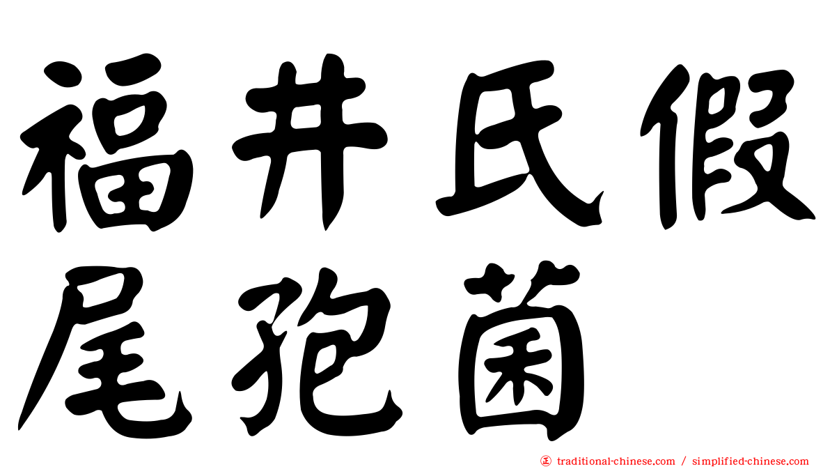 福井氏假尾孢菌