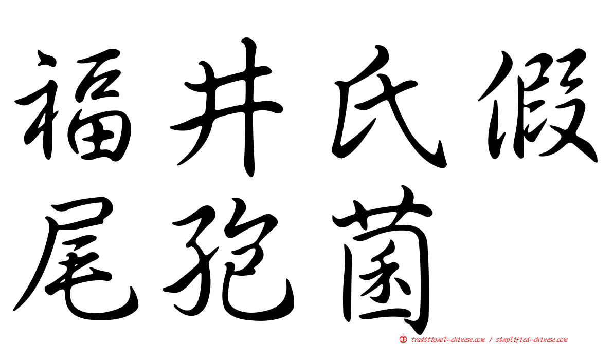 福井氏假尾孢菌
