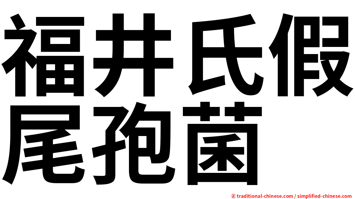 福井氏假尾孢菌