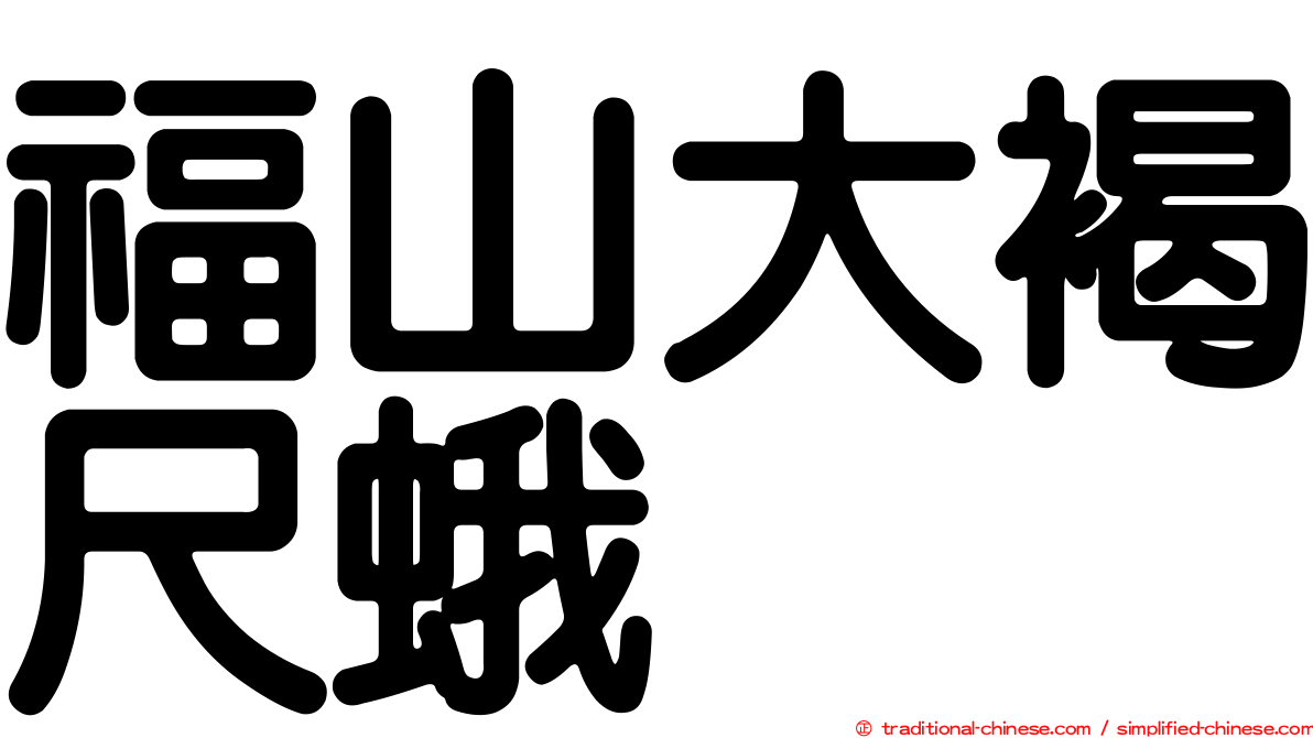 福山大褐尺蛾