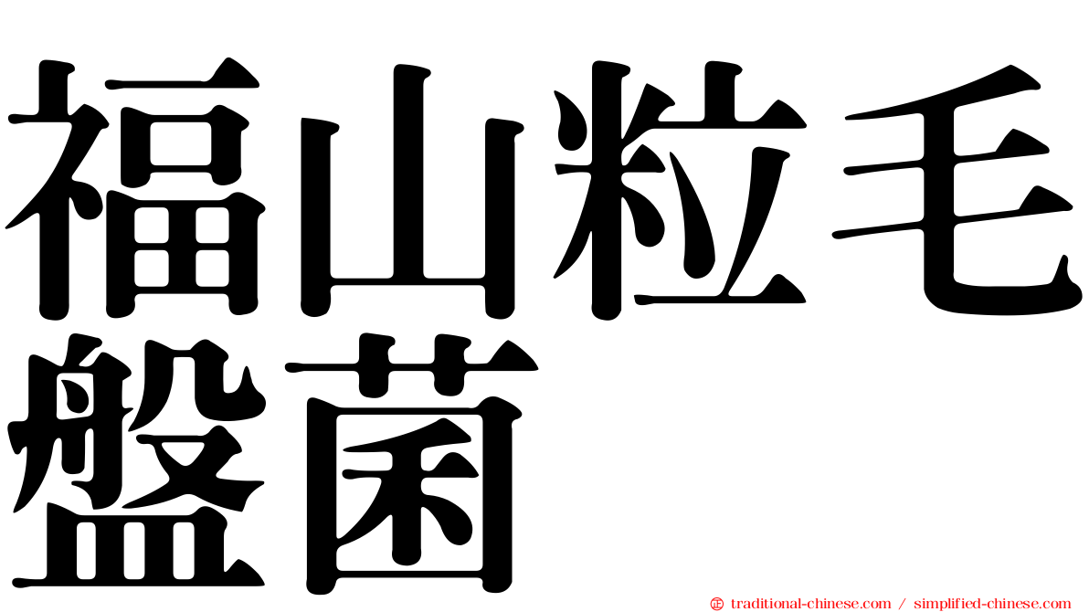 福山粒毛盤菌